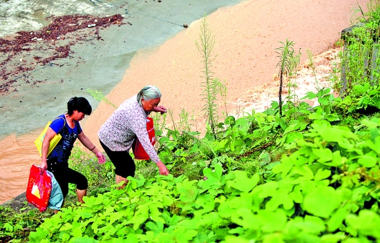 安溪连日暴雨阻断火车道 白濑乡被山洪包围(图)