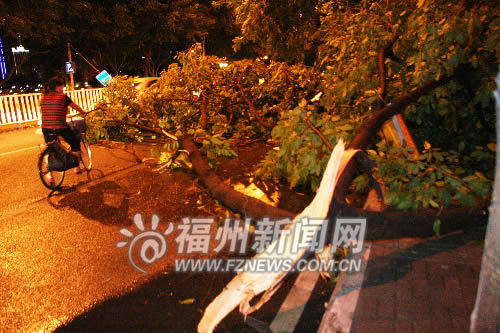 福州昨晚突现狂风暴雨冰雹 刮倒大树掀翻马路护栏(图)