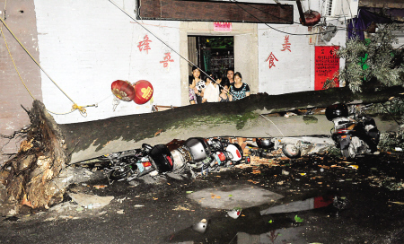 福州昨晚突现狂风暴雨冰雹 刮倒大树掀翻马路护栏(图)