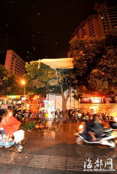 福州昨晚突现狂风暴雨冰雹 刮倒大树掀翻马路护栏(图)