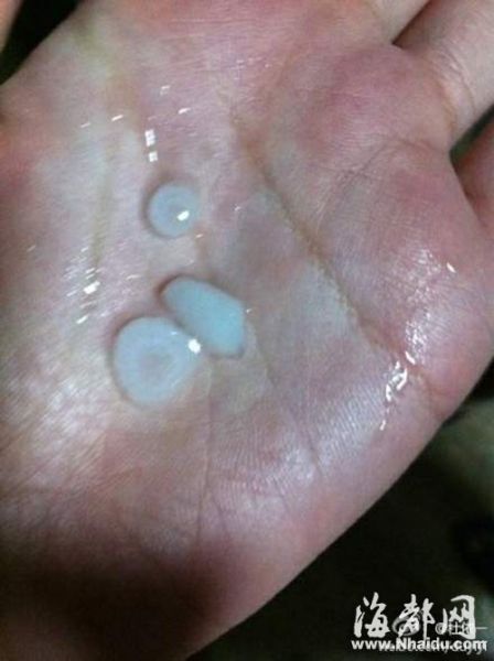 福州昨晚突现狂风暴雨冰雹 刮倒大树掀翻马路护栏(图)