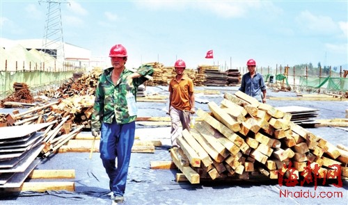 环岛路:岚岛最美风景线 总长约100公里(图)
