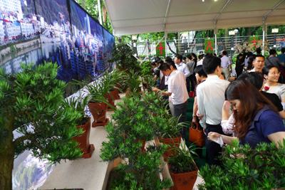 福建省直单位插花展开幕 促清流花卉产业发展