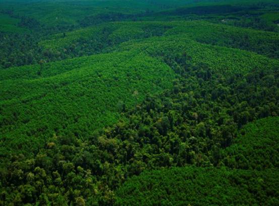 度和谐 br\/ ――福建省代表团访问新加坡金鹰国