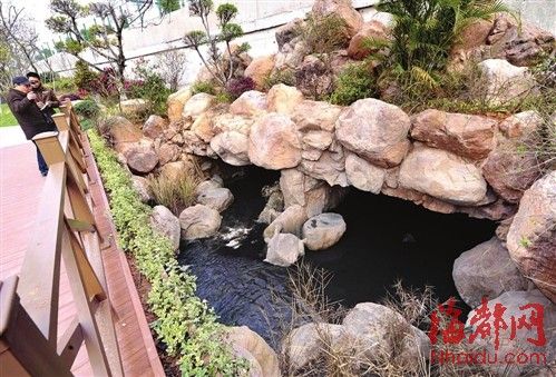 福州梅亭沟黑水入闽江 威胁福州饮用水源(组图)
