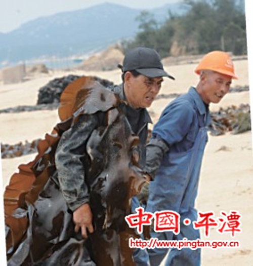海带收割:“十八般武艺”各显神通