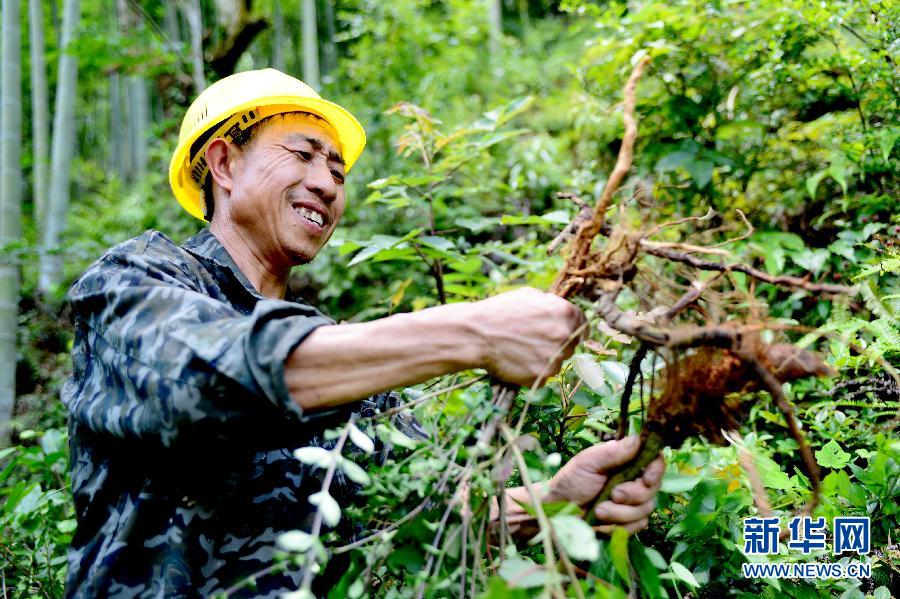 “穿梭在田间地头的乡村医生”——彭火兴