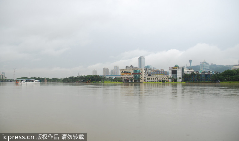 台风西马仑登陆 厦门一夜间变泽国