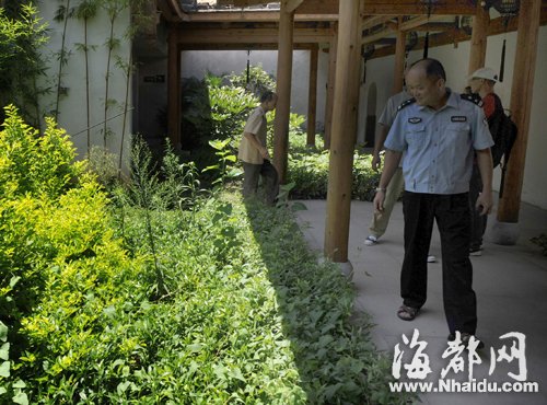 三坊七巷长蛇出没 “捕蛇王”两度抓捕未果