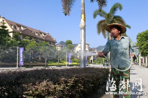 福州市民响应“一桶水”行动 千人接力护绿