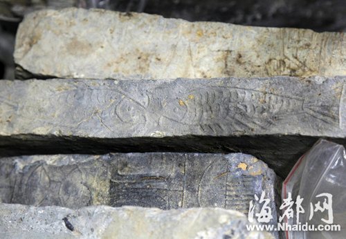 国家文物局专家关注屏山站发掘 实地踏勘