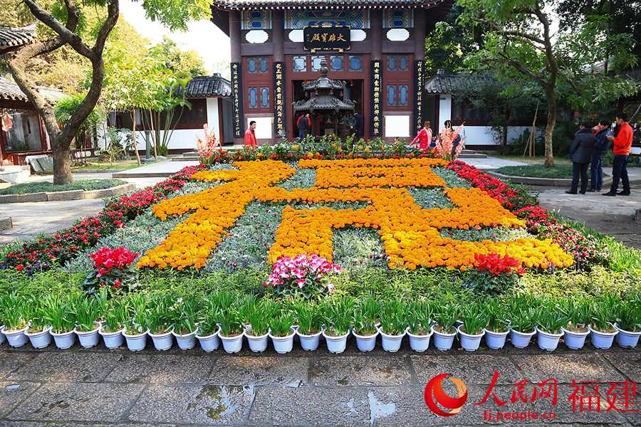 福州西湖公园成立100周年花展正月初一迎客