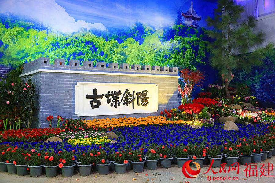 福州西湖公园成立100周年花展正月初一迎客