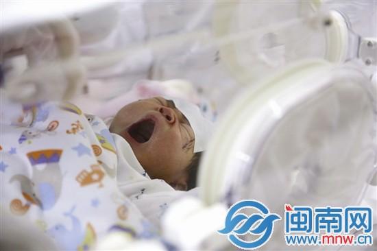 奇迹宝宝病情突变紧急转院 亲属争抚养权