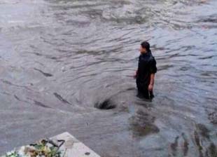 海峡品牌农产品展示交易中心正式挂牌成立[1]