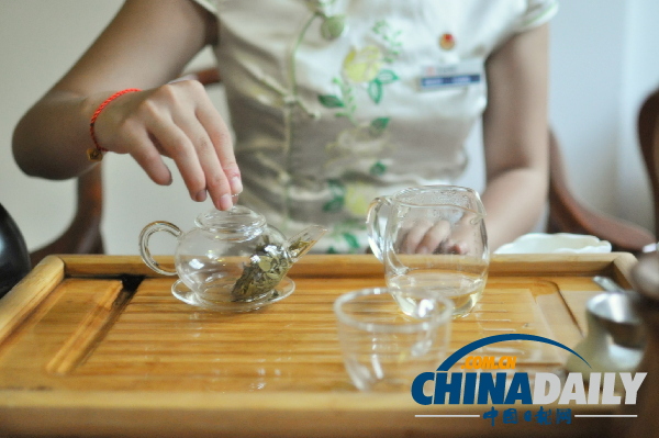 访觅茶缘——茶文化主题旅游