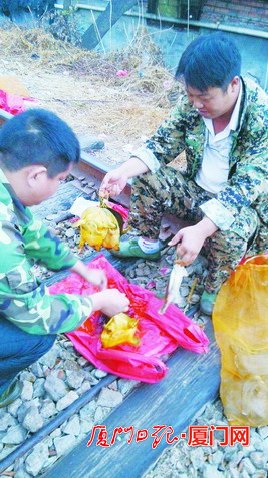 养殖甲鱼染色变野生 厦门多部门互相推诿难定