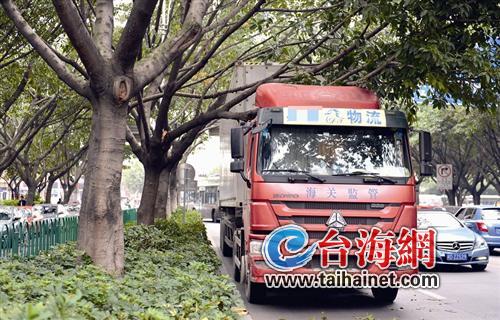 厦门一大货车卡在树下动弹不得 园林部门人员