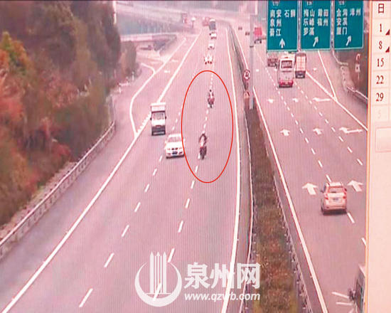 两男子为看油菜花骑宝马摩托狂飙 每辆价值30万