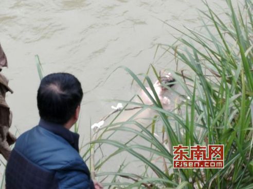 沙县：河面漂浮