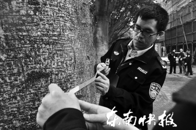 三棵大叶榕行道树 遭福州瑞城花园小区物业斧砍
