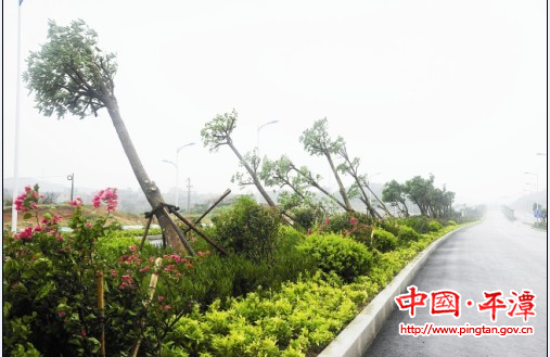 裹风携雨“潭美” 卷走我区1.5亿元