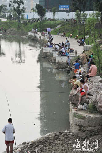 雨后琴亭湖钓客满湖畔 钓鱼一定要注意安全(图