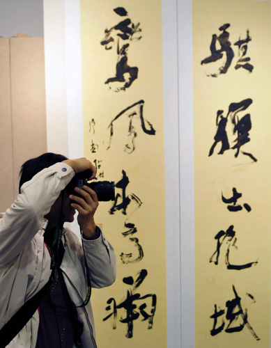 十家书法展 岭南翰墨香