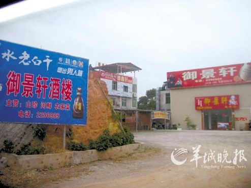 景观路旁非法建餐馆别墅,是因有人“撑”?