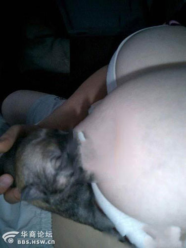 网曝90后少女用乳汁喂养小狗 引网友热议