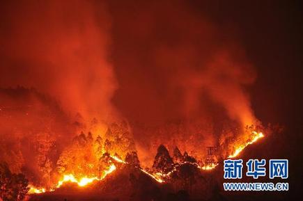 粤惠州学院附近突发山火