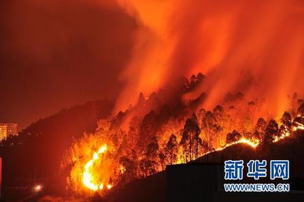 粤惠州学院附近突发山火