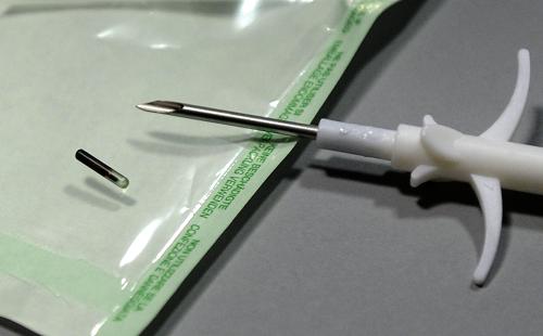 广州为犬只植入芯片 加强养犬管理