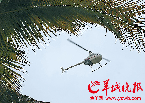 东莞一年增3400位千万富豪 企业老板不以为然