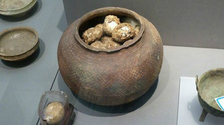 广东省新增一例人感染H7N9禽流感病例