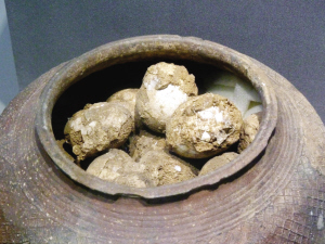 广东省新增一例人感染H7N9禽流感病例