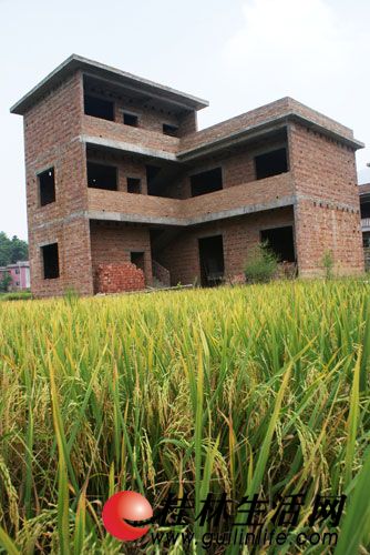 灵川县灵田乡多处耕地遭人大肆占用建房(组图