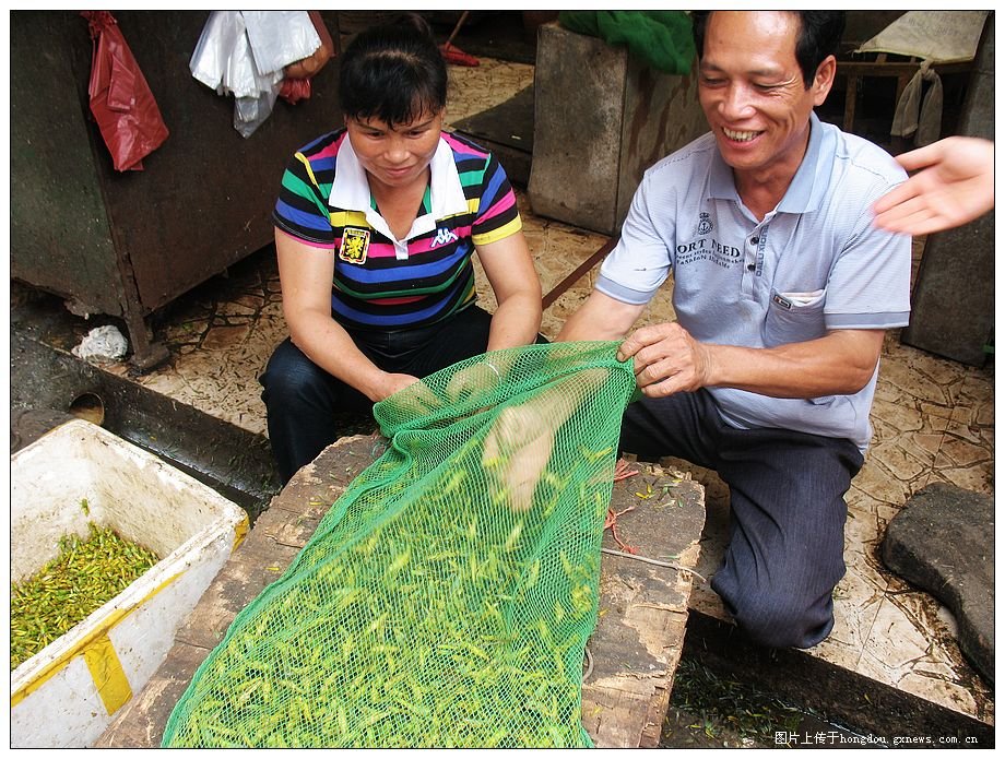 拍摄时间:2011-8-12 拍摄地点:扶绥县南门市场