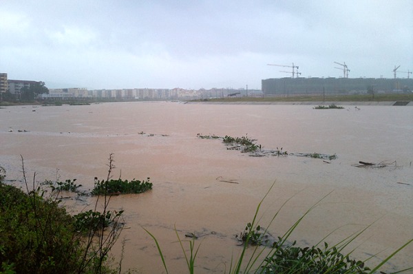 上思干部群众齐心抗灾自救