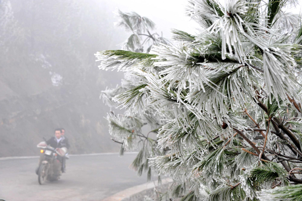 低温冻雨 贵阳部分地区成冰雪世界