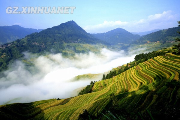 贵州月亮山梯田：苗族祖先遗落在大山里的“油画”