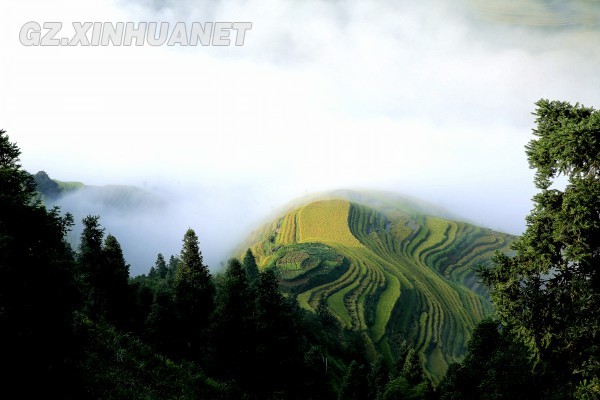 贵州月亮山梯田：苗族祖先遗落在大山里的“油画”