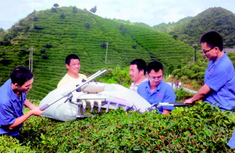 贵州省将加快建设优质高效茶园