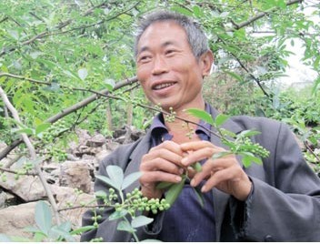 贞丰县银洞湾村：山民靠科学种植脱贫致富