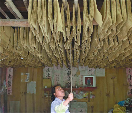 总有一天，还将再到这片美妙的土地——一个外国人的贵阳遵义见闻