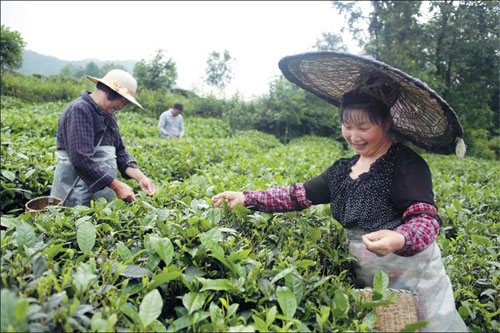 总有一天，还将再到这片美妙的土地——一个外国人的贵阳遵义见闻