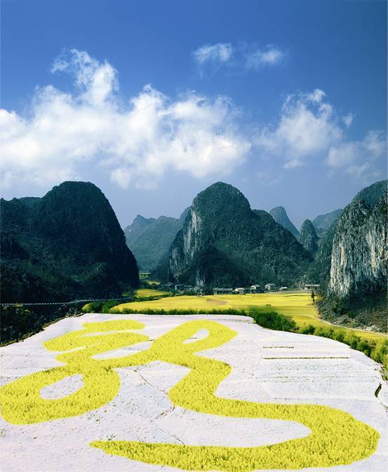 春天，到贵州安顺赏油菜花看“龙”字田