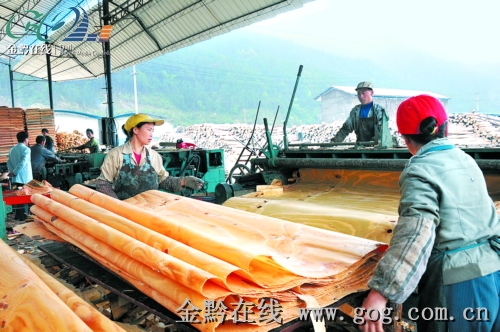 6家木材加工企业入驻锦屏工业园