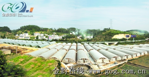 遵义城镇人口_贵阳中心城区人口接近330万 黔中城市群城镇人口突破千万(3)