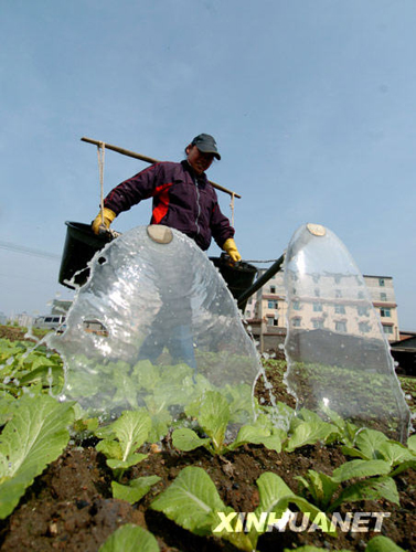都市田园春色浓